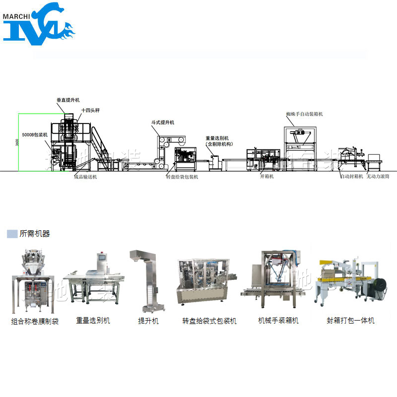 小袋装大袋包装流水线设
