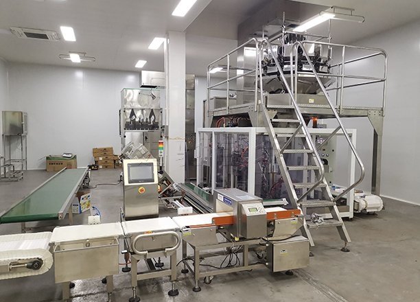 水饺包装机升级换代：速冻水饺包装机水饺全自动包装机迈驰一